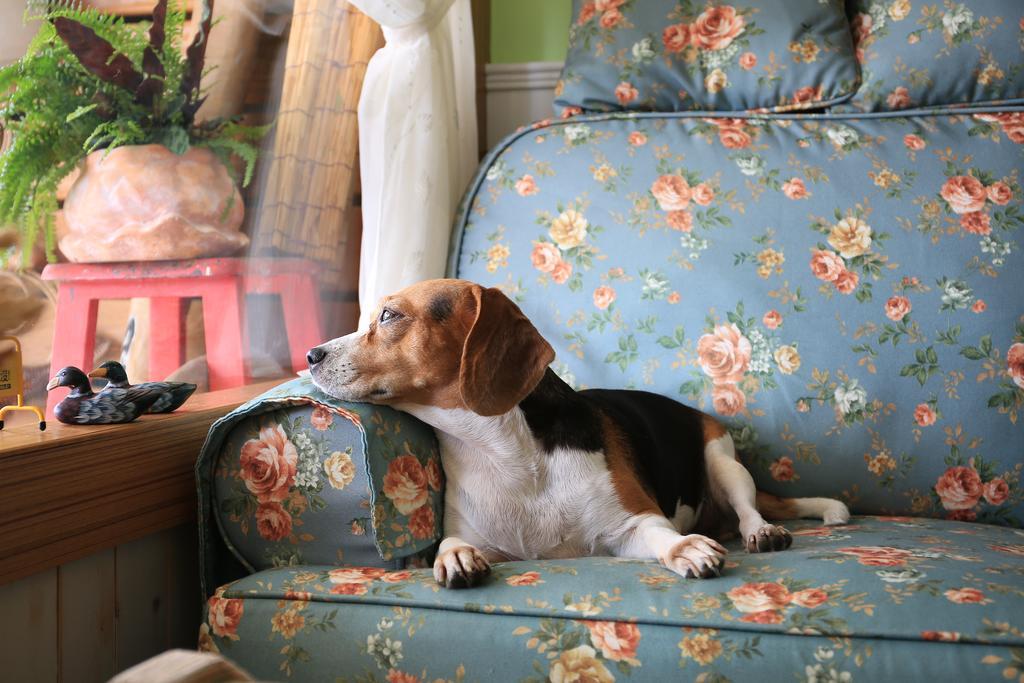 สเนล เทรล โฮเต็ล Bed & Breakfast Taitung ภายนอก รูปภาพ